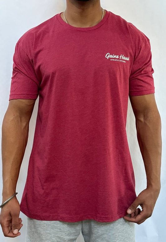Gains Haus Athletic Apparel Men's Inspire Motivate Dominate Tee